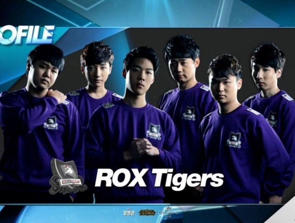 rox-tigers